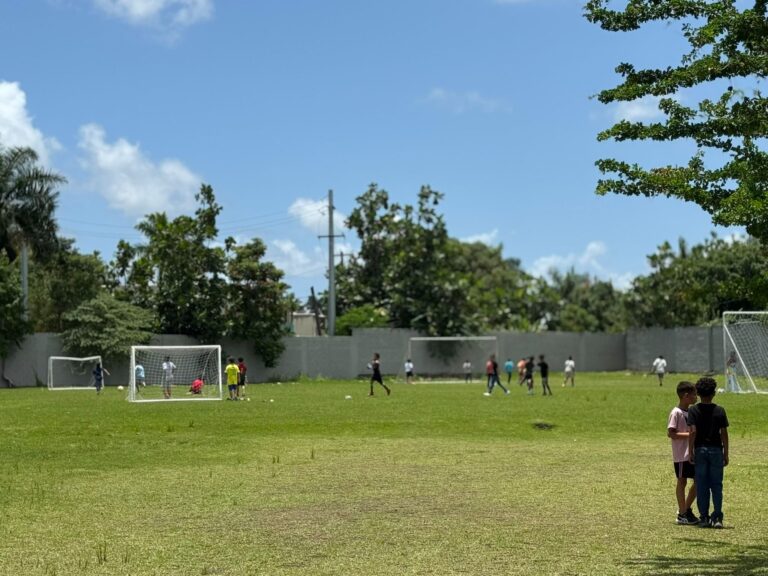 fa23d99b-bc07-45f5-8b01-1ddeb9b4246c